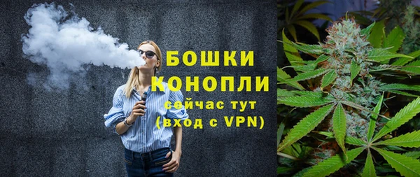 PSILOCYBIN Баксан