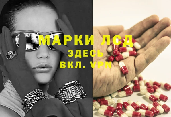PSILOCYBIN Баксан