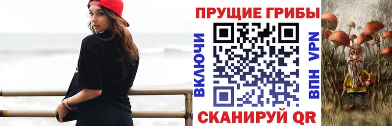 Галлюциногенные грибы Psilocybe  Плавск 