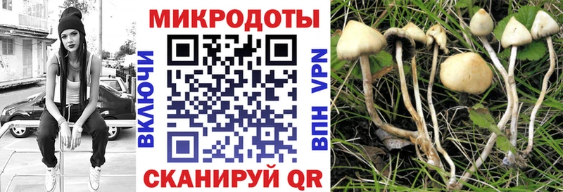 Галлюциногенные грибы мицелий Плавск