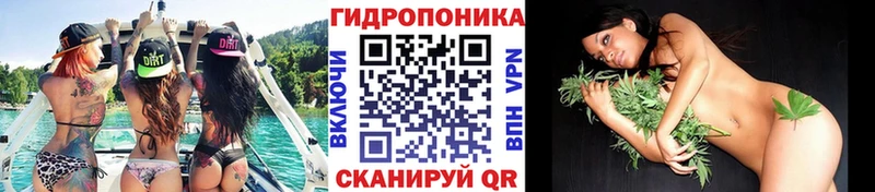 blacksprut как войти  нарко площадка состав  Конопля индика  где продают   Плавск 